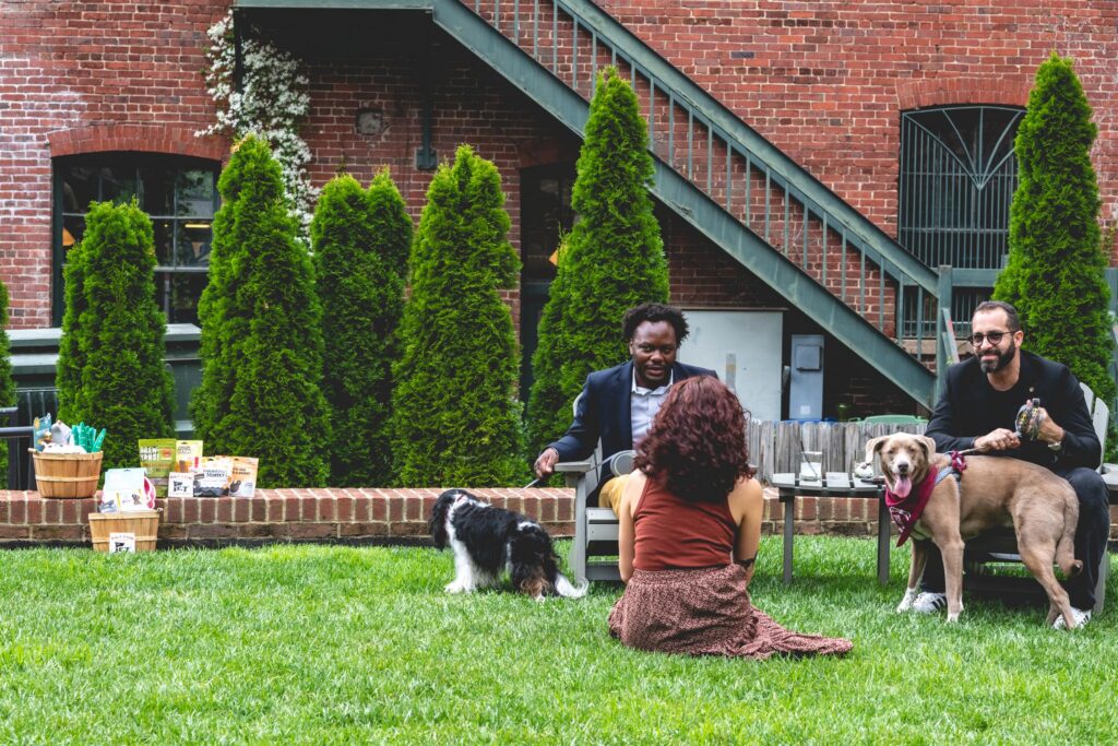 The Foundry Hotel: puparazzi dog event