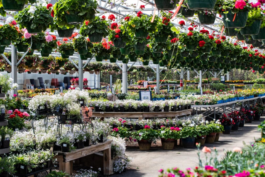Red's Home & Garden: greenhouse